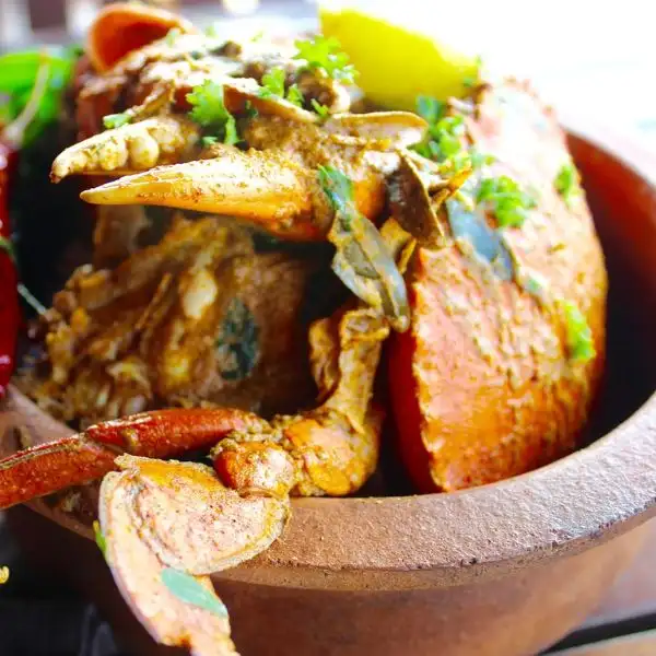 Sundarban Crab